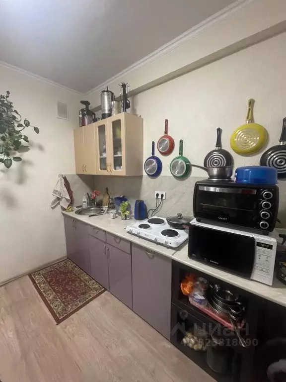 1-к кв. Московская область, Богородский городской округ, с. Бисерово, ... - Фото 2