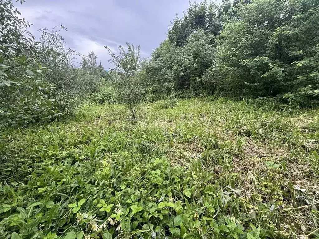 Участок в Башкортостан, Бирск ул. Гафури (8.67 сот.) - Фото 1