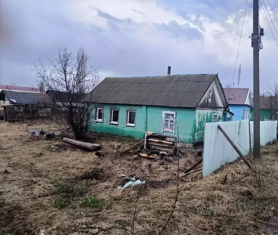 Дом в Воронежская область, Эртиль  (33 м) - Фото 2