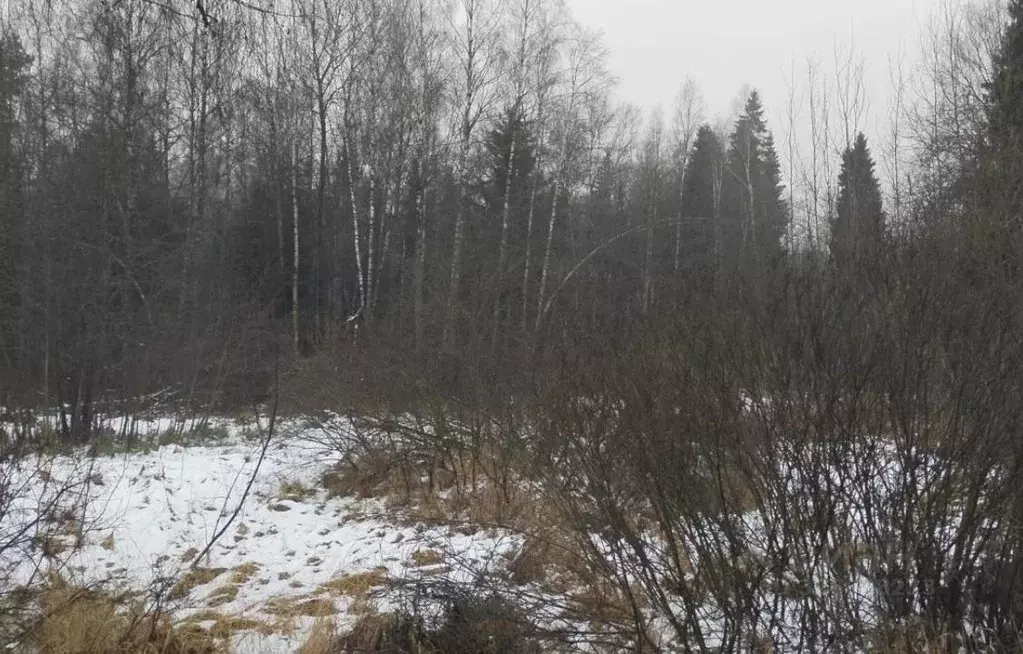 Участок в Московская область, Дмитровский муниципальный округ, д. ... - Фото 0