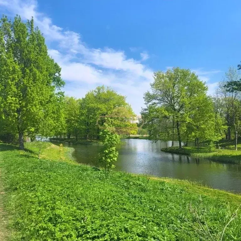 Участок в Ленинградская область, Ломоносовский район, д. Санино ул. ... - Фото 1
