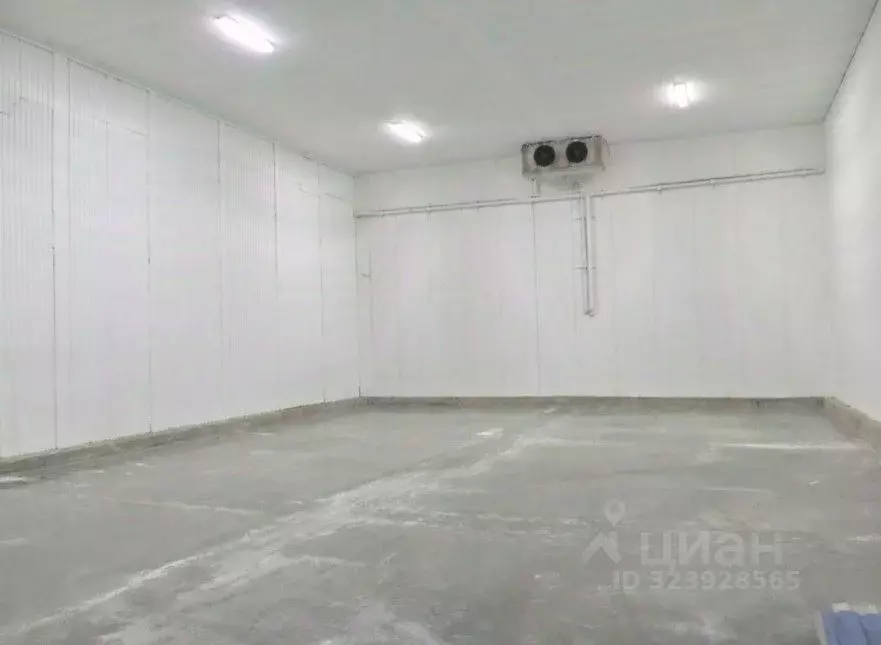 Склад в Ленинградская область, Тосненский район, пос. Тельмана 60 ... - Фото 2