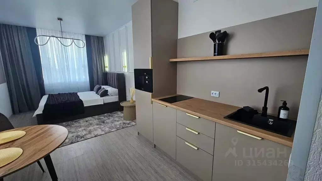 Студия Свердловская область, Екатеринбург ул. Фрунзе, 31 (31.0 м) - Фото 2