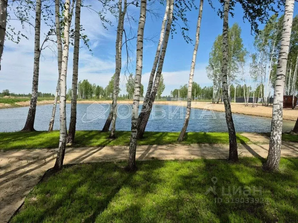 Участок в Тюменская область, Нижнетавдинский район, Строитель ТСН 933 ... - Фото 0