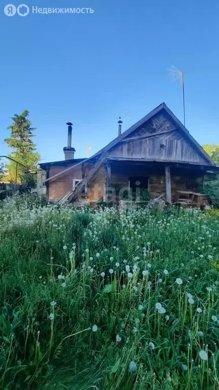 Участок в Колышлейский район, Телегинский сельсовет, село Телегино (40 ... - Фото 1