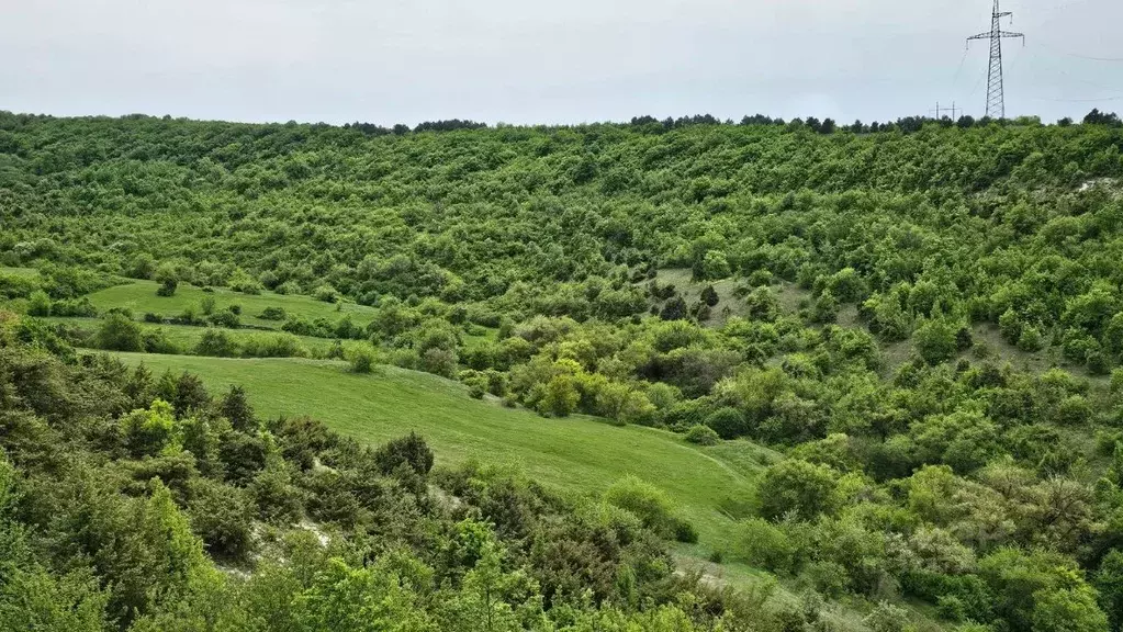 Участок в Крым, Бахчисарайский район, Скалистовское с/пос, с. Глубокий ... - Фото 2
