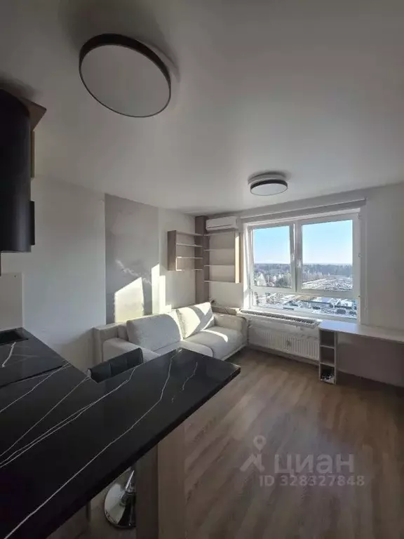 Студия Москва Кокошкино дп, ул. Стожарова, 5 (23.0 м) - Фото 1