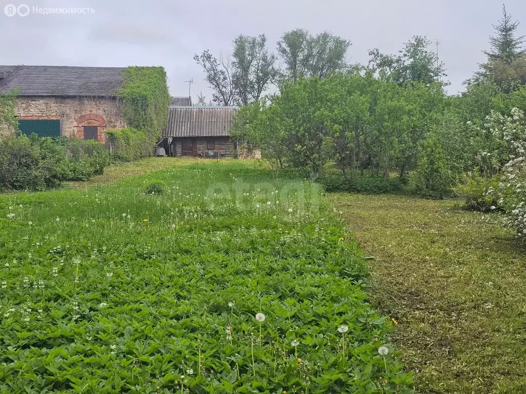Участок в Псковская область, Остров (14.6 м) - Фото 2