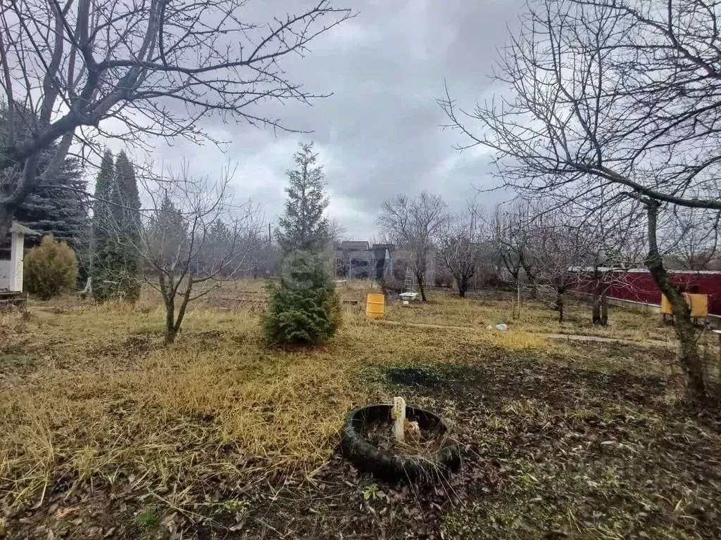 Участок в Воронежская область, Новоусманский район, с. Бабяково ... - Фото 2