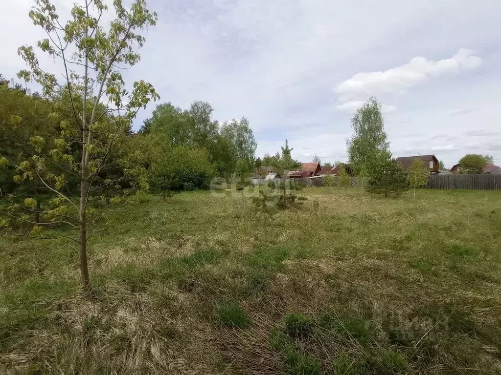 Участок в Владимирская область, Костерево Петушинский район, ... - Фото 1