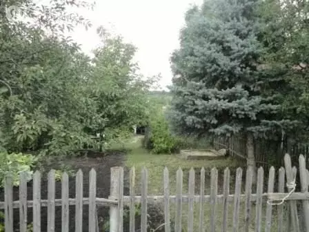 Дом в Белгородская область, Яковлевский муниципальный округ, СТ ... - Фото 1