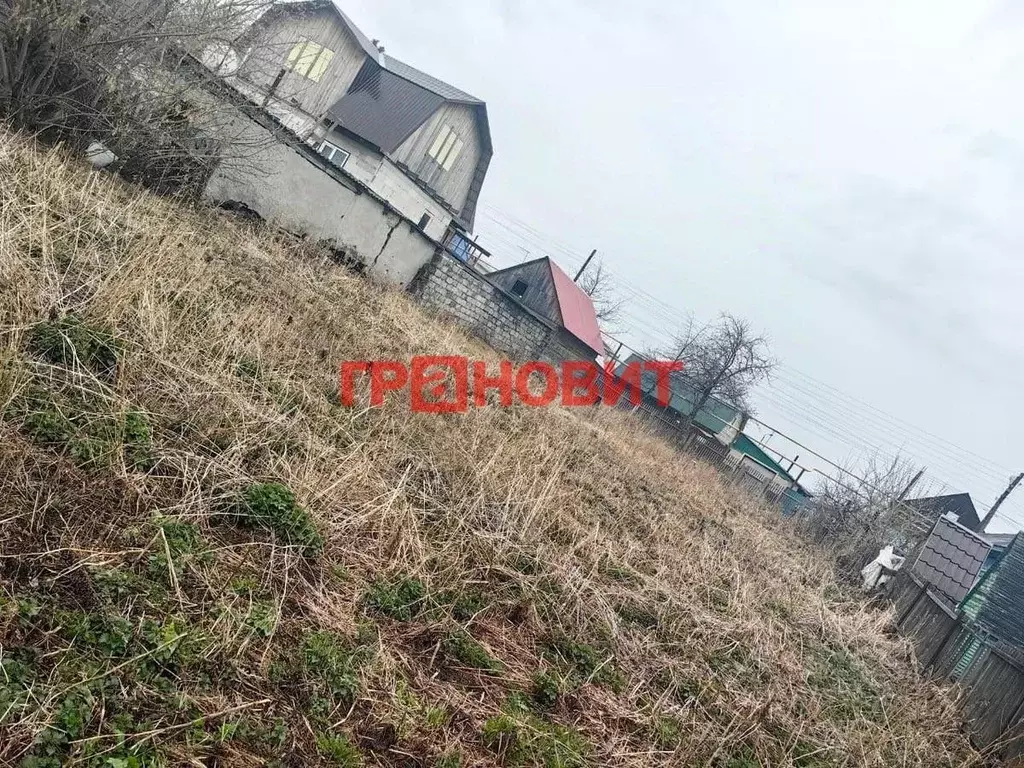 Участок в Новосибирская область, Коченево рп ул. Максима Горького, 64 ... - Фото 0