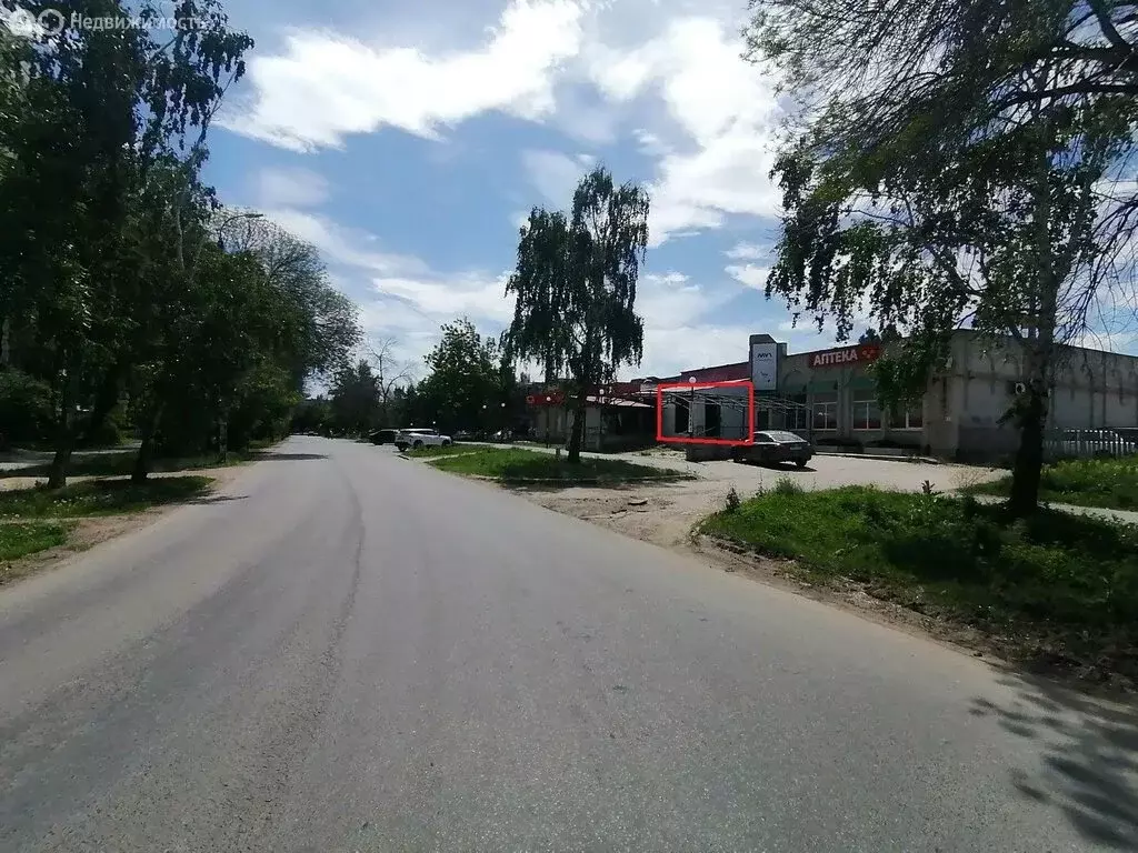 Помещение свободного назначения (250 м) - Фото 2