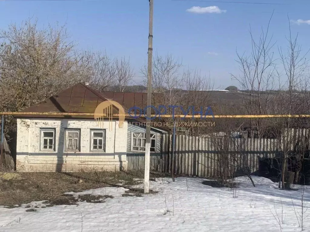 Дом в Белгородская область, Новооскольский муниципальный округ, с. ... - Фото 1