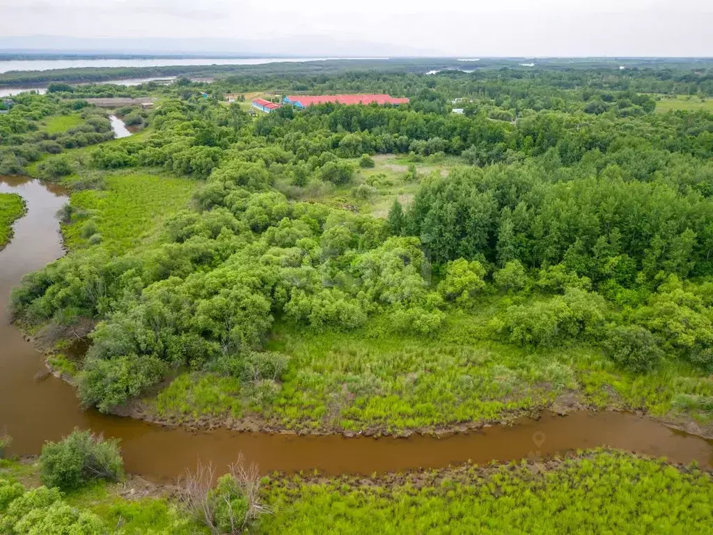 Участок в Еврейская автономная область, Смидовичский район, с. ... - Фото 1