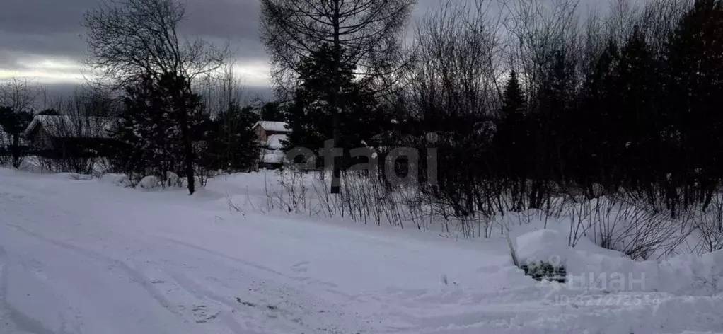 Участок в Свердловская область, Нижний Тагил Весенняя ул. (8.96 сот.) - Фото 1