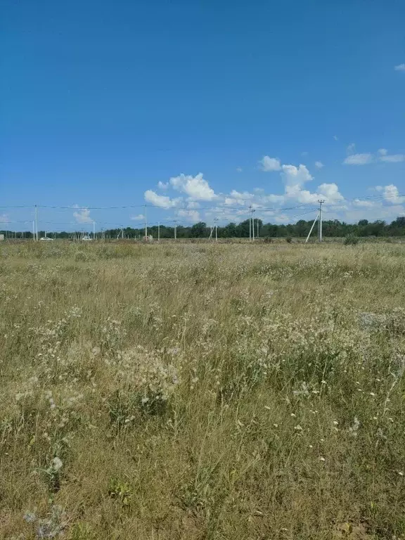 Участок в Саратовская область, Энгельс проезд 1-й Андреевский (6.0 ... - Фото 2