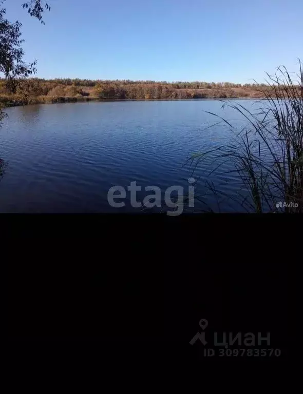 Участок в Белгородская область, Алексеевский муниципальный округ, с. ... - Фото 1