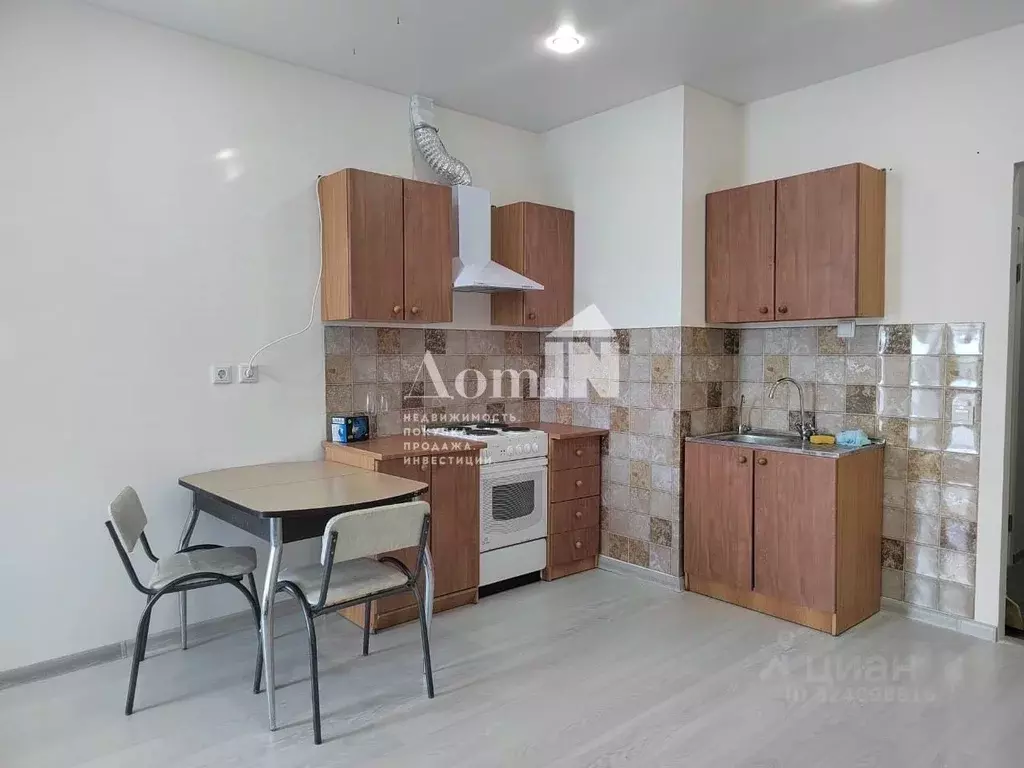 Студия Ленинградская область, Всеволожский район, пос. Бугры ул. ... - Фото 1