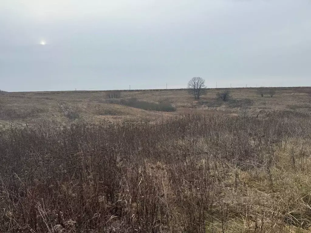 Участок в Московская область, Кашира городской округ, д. Аладьино  ... - Фото 0