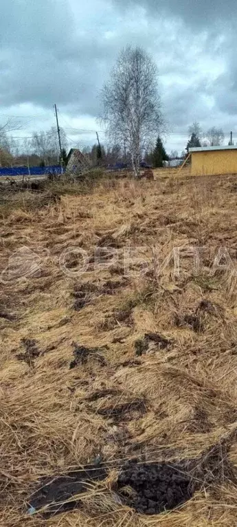 Участок в Тюменская область, Нижнетавдинский муниципальный округ, ... - Фото 1