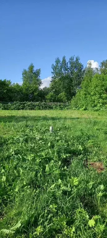 Участок 12 сот. (ИЖС) - Фото 0