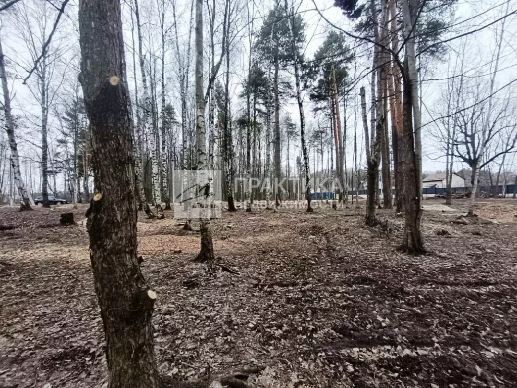 Продается участок в г. Ногинск - Фото 1