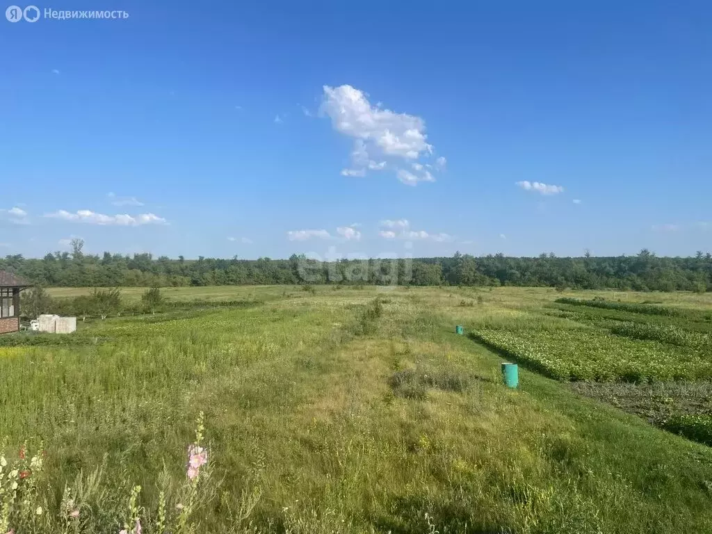 Участок в Старооскольский городской округ, село Бочаровка, улица ... - Фото 1