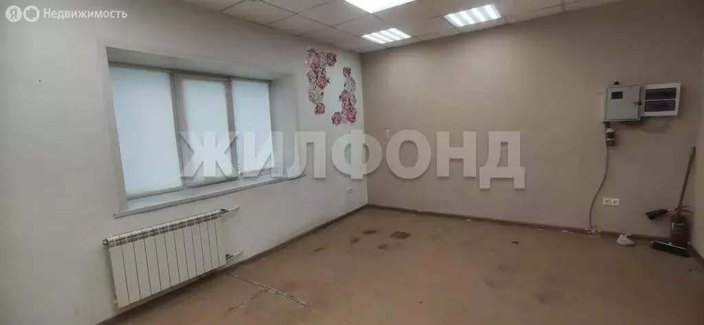 Офис (33 м) - Фото 2