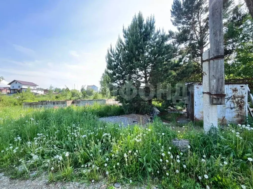 Участок в Новосибирская область, Новосибирский район, Барышевский ... - Фото 2