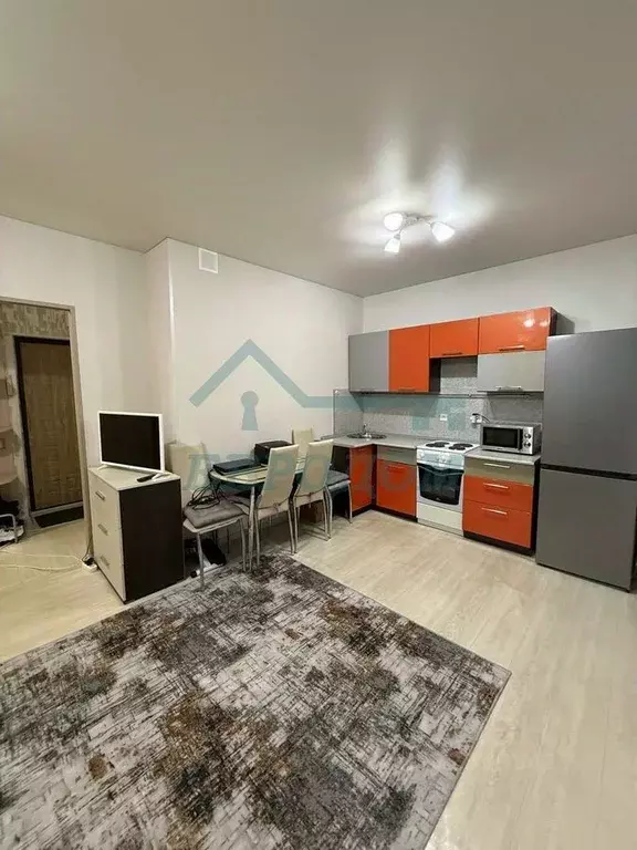 Студия Новосибирская область, Новосибирск ул. В. Высоцкого, 49 (29.5 ... - Фото 1