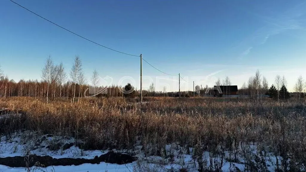 Участок в Тюменская область, Тюменский район, Казарма урочище  (5.16 ... - Фото 0