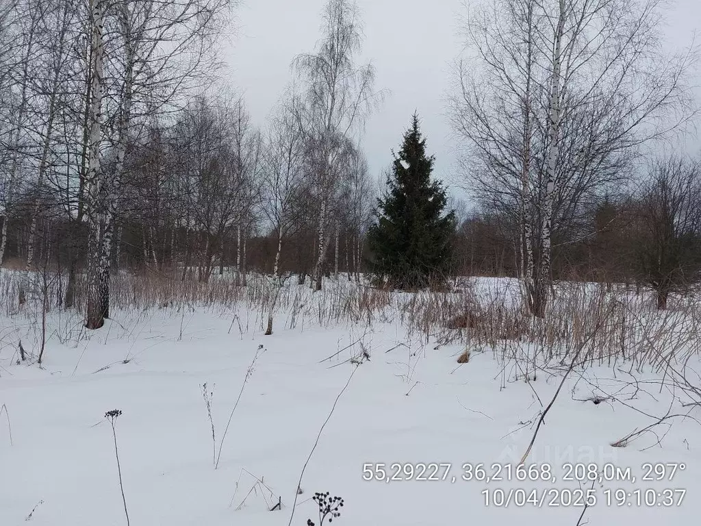 Участок в Московская область, Наро-Фоминский городской округ, д. ... - Фото 0