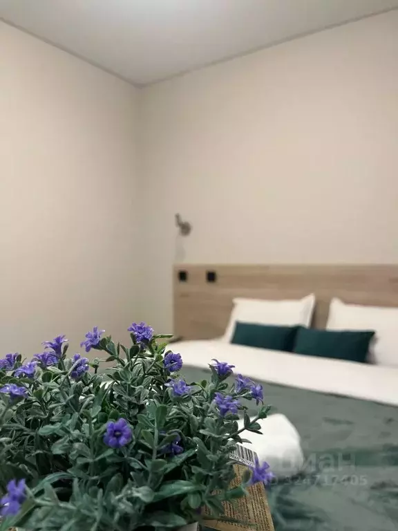 Комната Татарстан, Казань ул. Волкова, 52 (20.0 м) - Фото 2