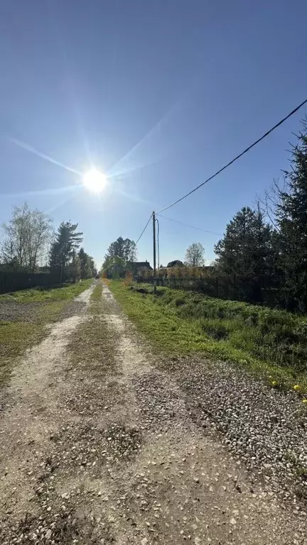 Участок в Ленинградская область, Гатчинский муниципальный округ, пос. ... - Фото 2