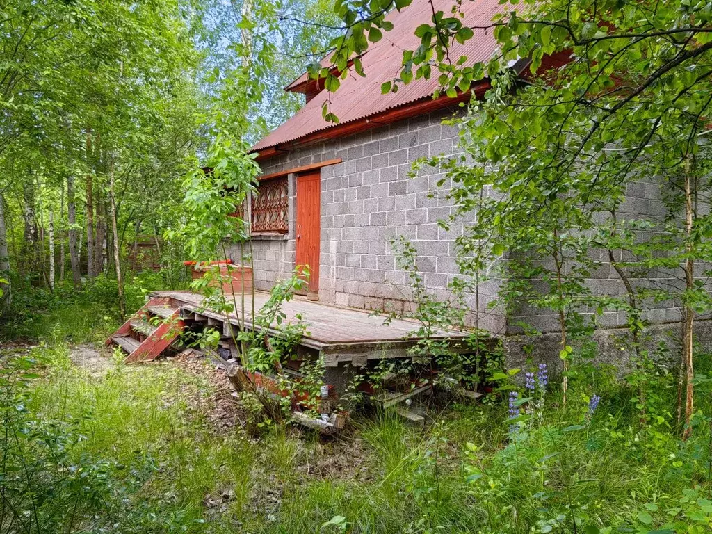 Дом в Ленинградская область, Выборгский район, Рощинское городское ... - Фото 1