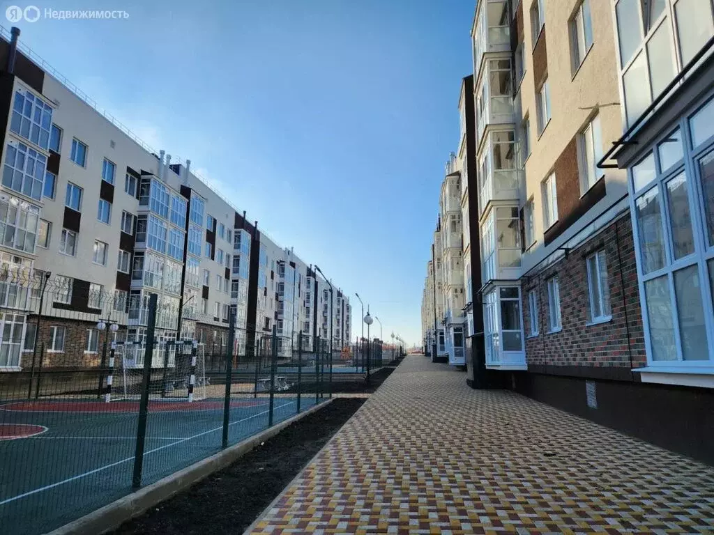 1-комнатная квартира: Михайловск, улица Антона Чехова, 42 (26 м) - Фото 0