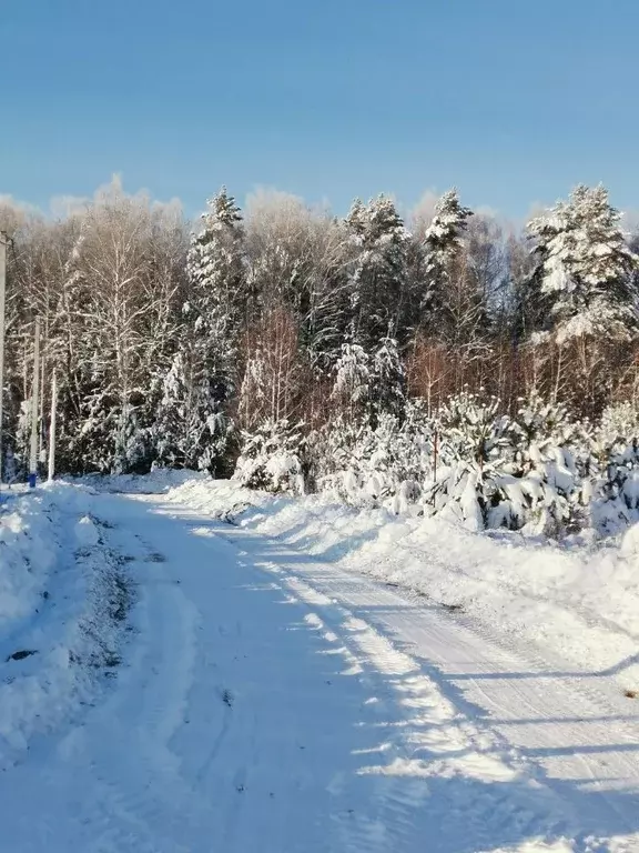 Участок в Московская область, Ступино городской округ, Починки-2 кп  ... - Фото 0