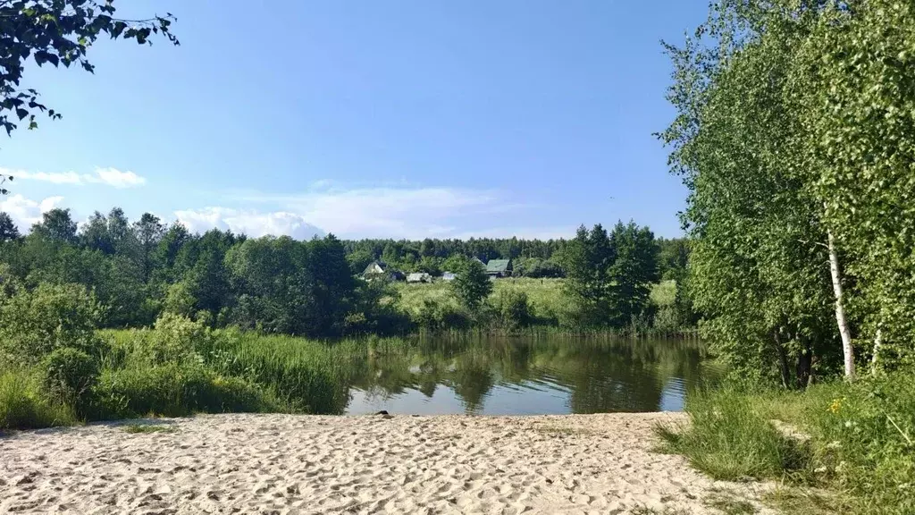 Участок в Нижегородская область, Богородский муниципальный округ, д. ... - Фото 2