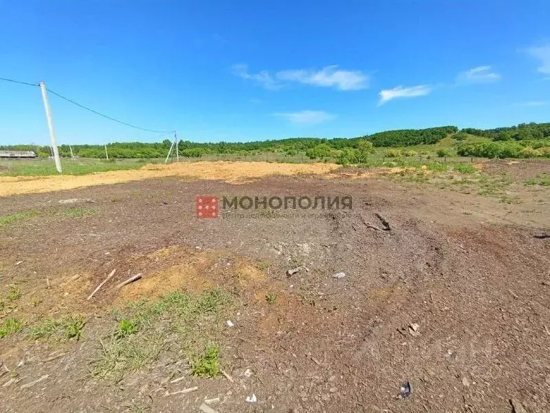 Участок в Амурская область, Серышевский муниципальный округ, с. ... - Фото 0