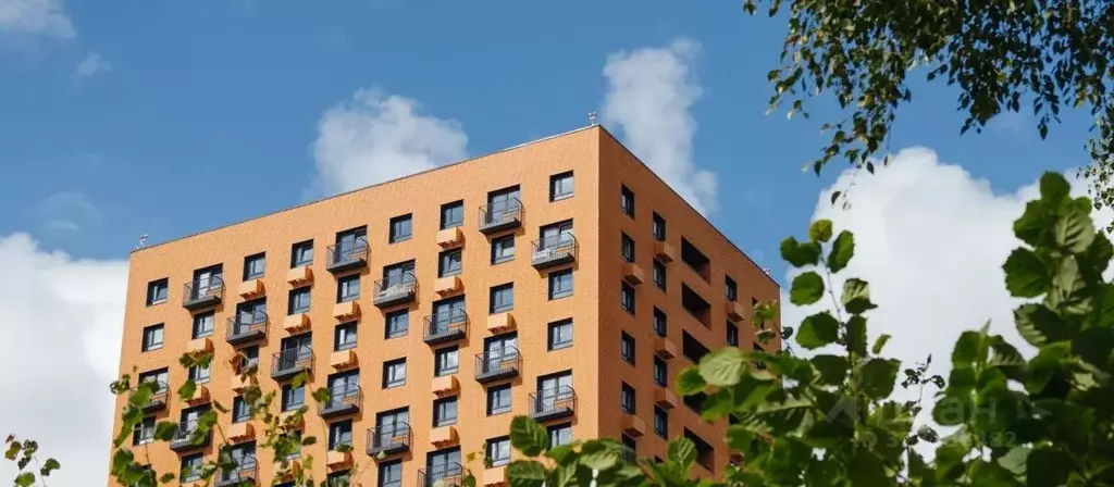 Гараж в Калужская область, Обнинск ул. Курчатова, 21 (13 м) - Фото 2