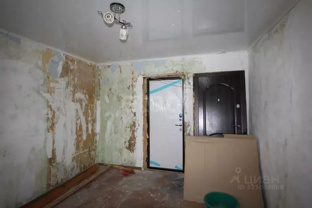 Комната Вологодская область, Шексна рп, Шексна Северная мкр ул. ... - Фото 1