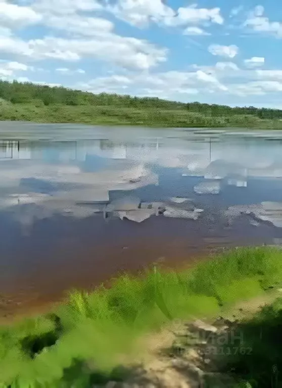 Участок в Нижегородская область, Бор  (19.0 сот.) - Фото 0