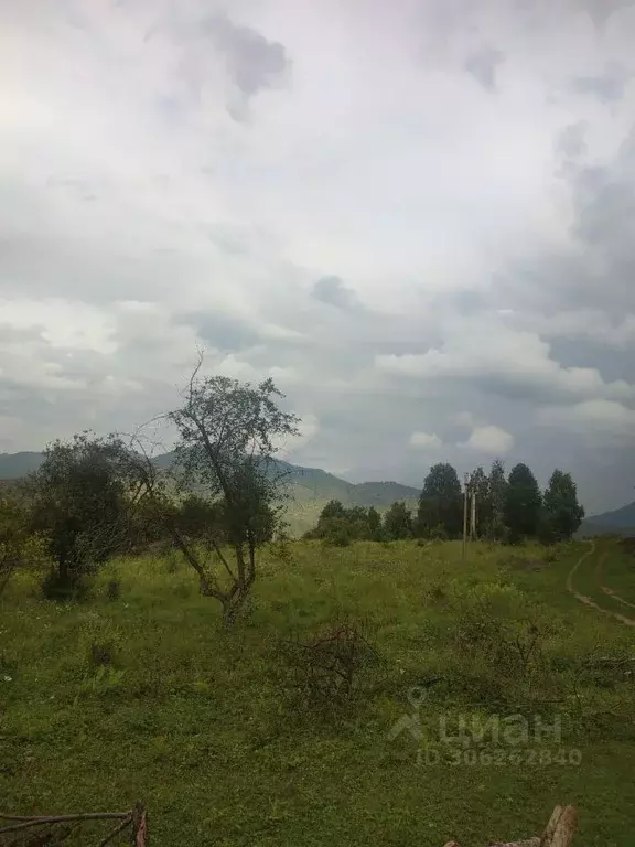 Участок в Алтай, Чемальский район, с. Анос ул. Нагорная (25.0 сот.) - Фото 1