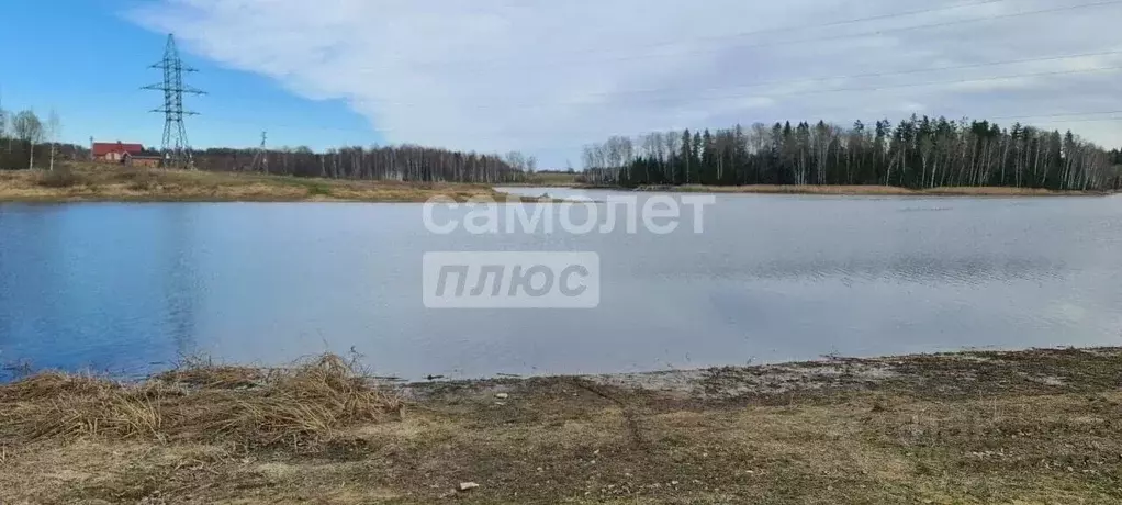 Участок в Московская область, Волоколамский муниципальный округ, д. ... - Фото 1