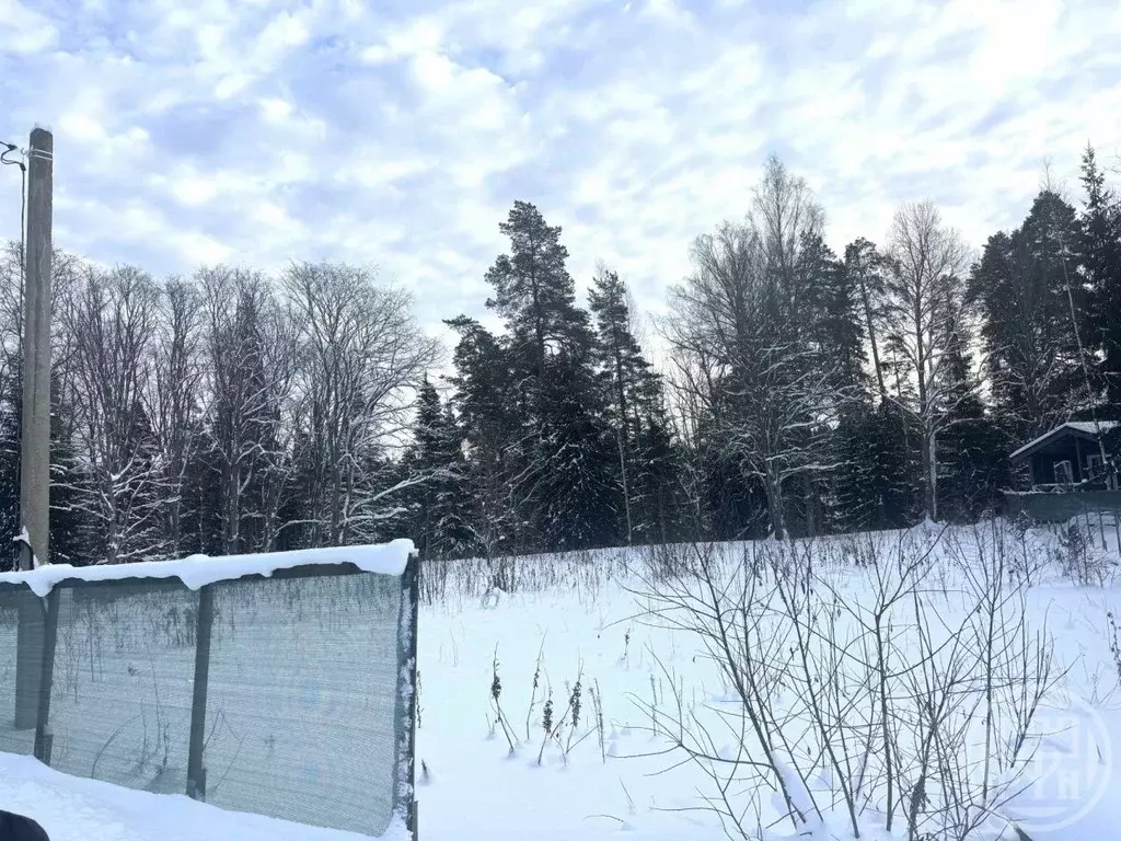 Участок в Ленинградская область, Гатчинский муниципальный округ, ... - Фото 2