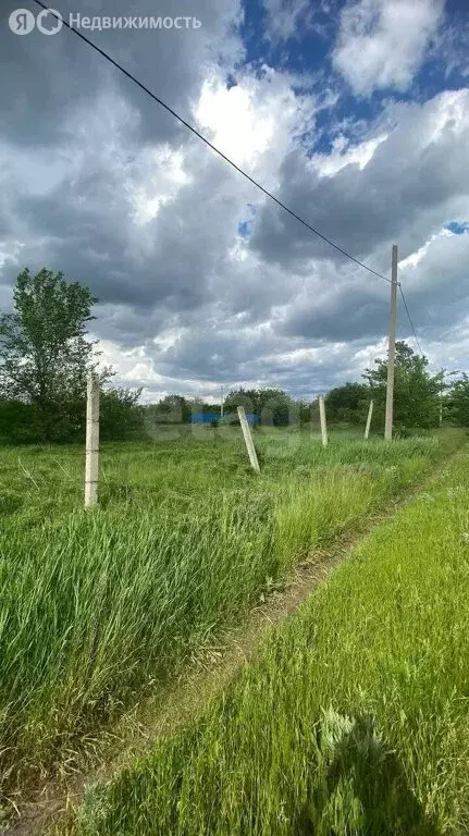 Участок в Кировское сельское поселение, садоводческое товарищество ... - Фото 2