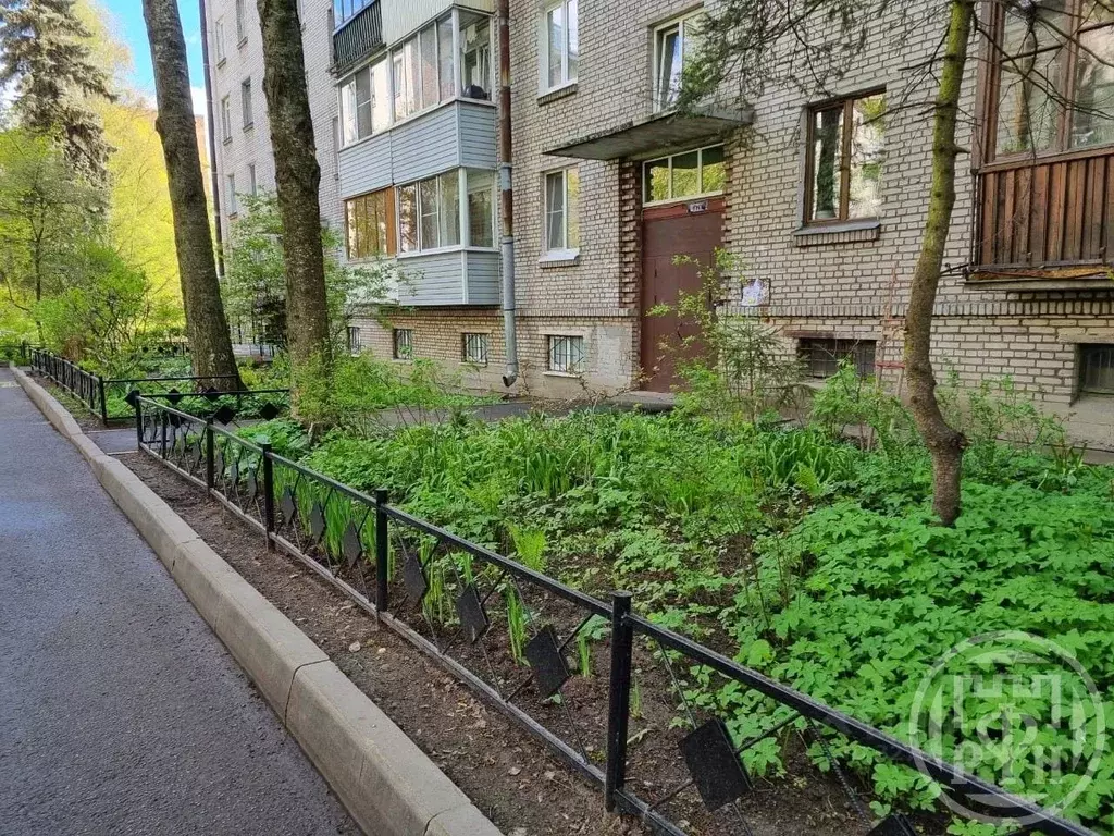 1-к кв. Санкт-Петербург, Санкт-Петербург, Пушкин Оранжерейная ул., 62 ... - Фото 1