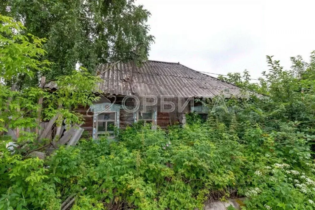 Участок в Тюменская область, с. Нижняя Тавда ул. Мелиораторов, 10 ... - Фото 2