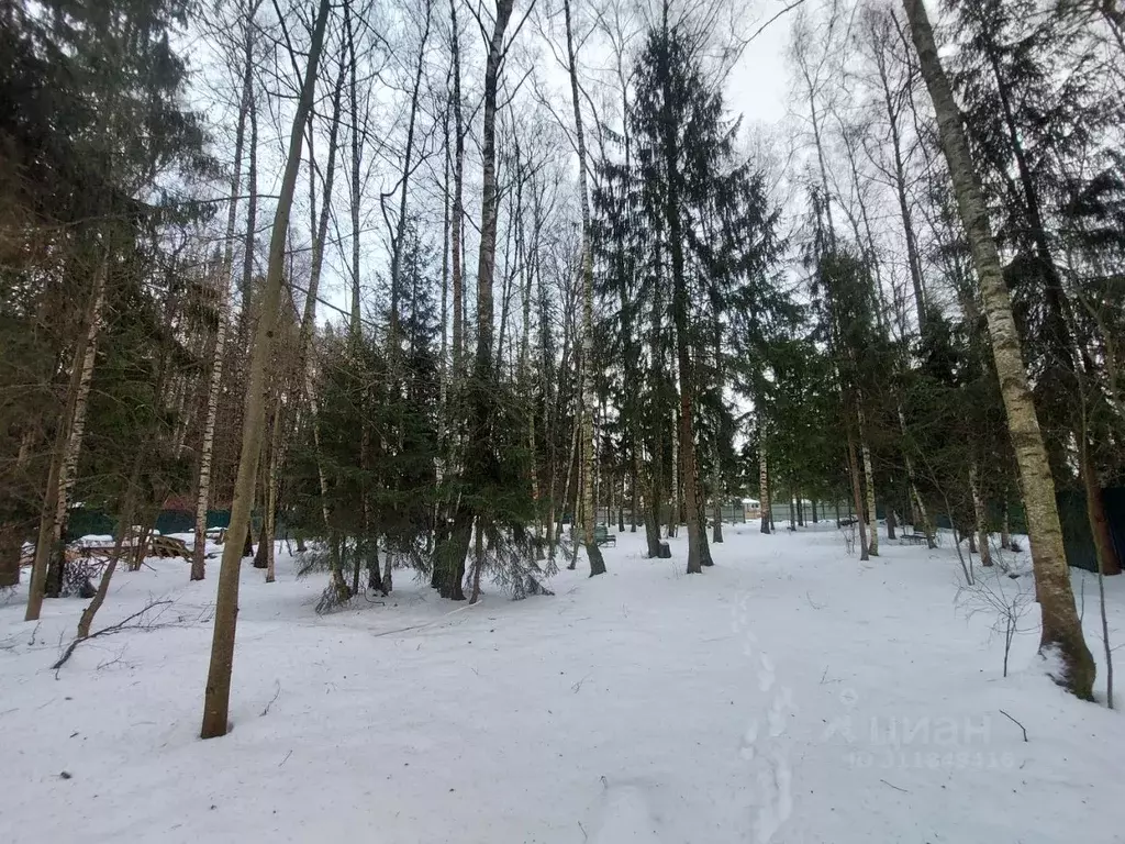 Участок в Московская область, Одинцовский городской округ, д. Чигасово ... - Фото 1